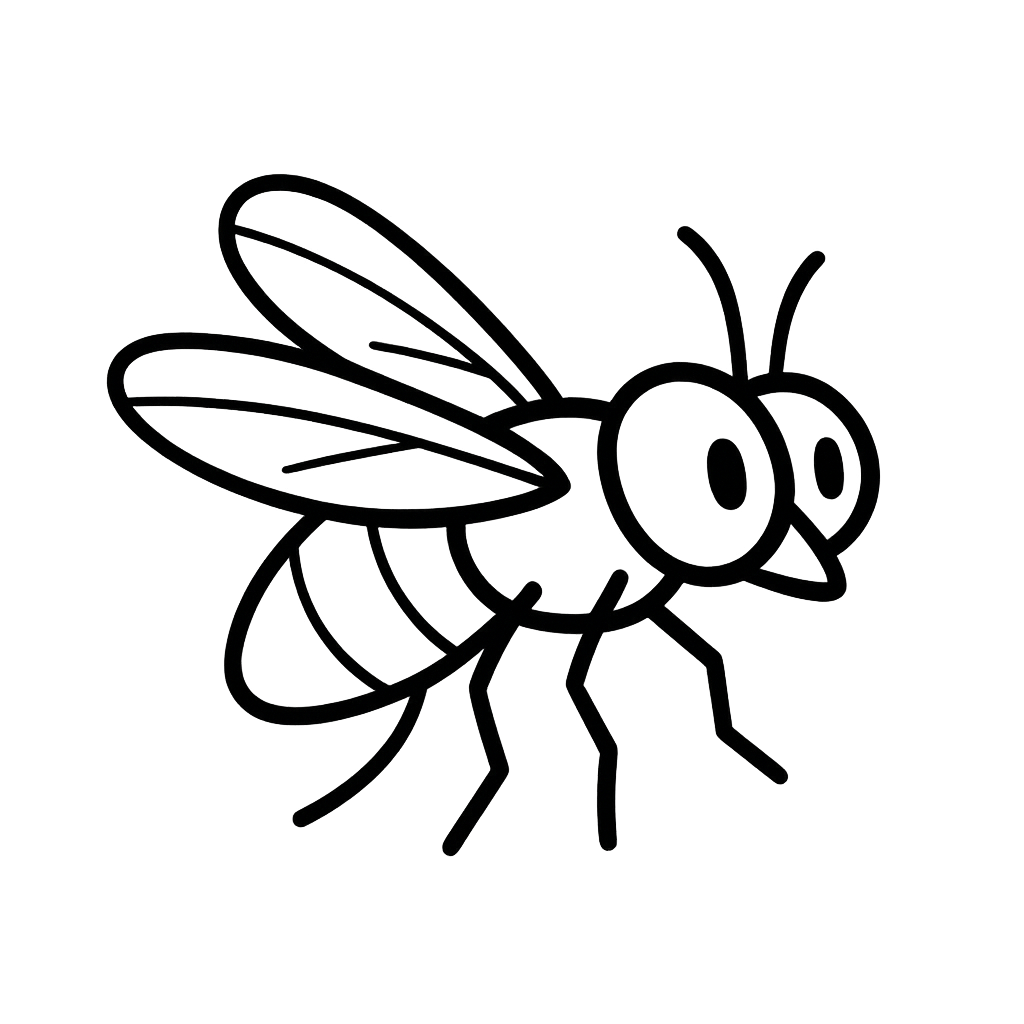 fly fly